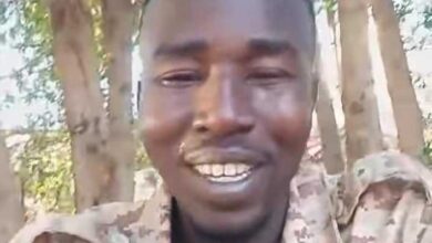 434405723 3635309546685800 6063742527829191813 n