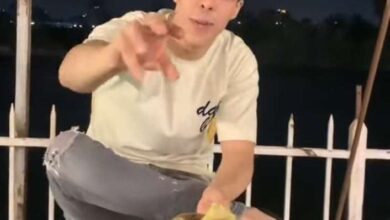 434724165 435399449175994 1555453025004183731 n