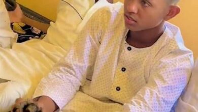 437899564 1609129666590448 2457728499443339830 n