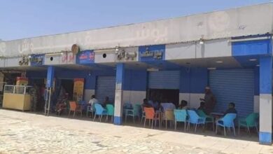 440775281 2777618105730634 5049773568660671268 n