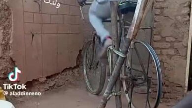 441487545 324970757118287 2997343275681197127 n