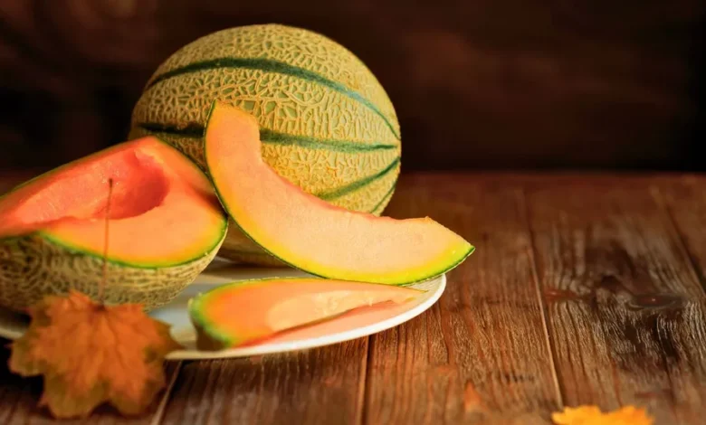 يكافح ضغط الدم ويرطب الجسم.. فوائد مذهلة عن الشمام 1 شمام فاكهه