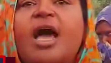 436470349 844774654172794 3852996280712740390 n