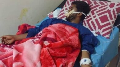 448636246 432358709616917 533447937052739012 n