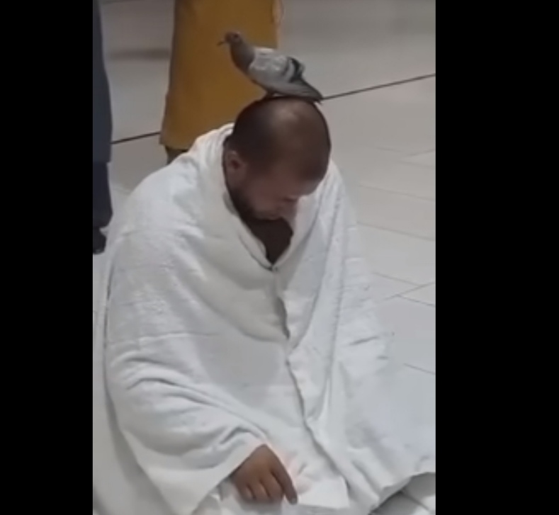 IMG ٢٠٢٤٠٦١٨ ١١١٧٤٠