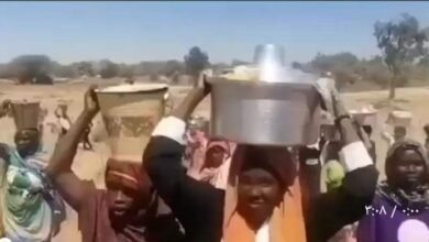 449468888 1133516181037722 7404019419478263007 n