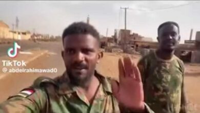 449486378 986442039807970 3084099644300812858 n