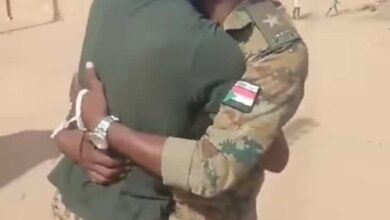 449886075 460041273649289 296531267158510195 n