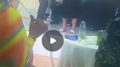 451027444 469486695830653 1035238527624304273 n