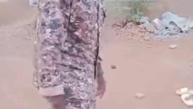 451705721 1008766170554869 7196680387111163623 n