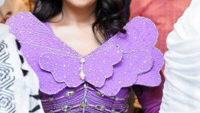 452564854 8154737774570028 5411039534125600487 n