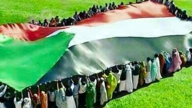 68303356 2475830282484641 7498326481437720576 n