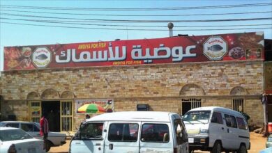 عوضية سمك1 1 1026x580 1