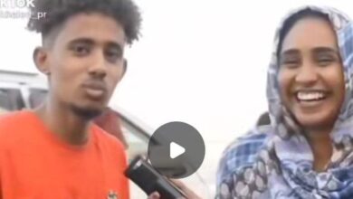 453908269 478365665044596 3877863731305227419 n