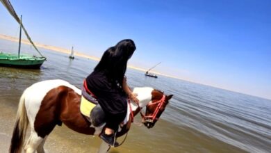 454523780 4031815763718262 198886589941888598 n