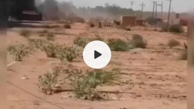 Screenshot ٢٠٢٤ ٠٨ ١٧ ١٥ ٥٤ ٣٣ ٨٤٣ com.miui .gallery