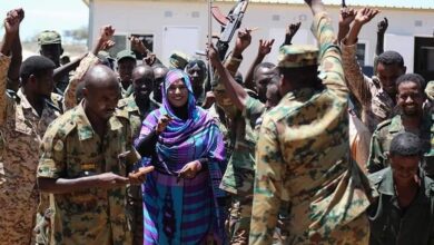 459751556 1834966883579241 4718771138741413553 n