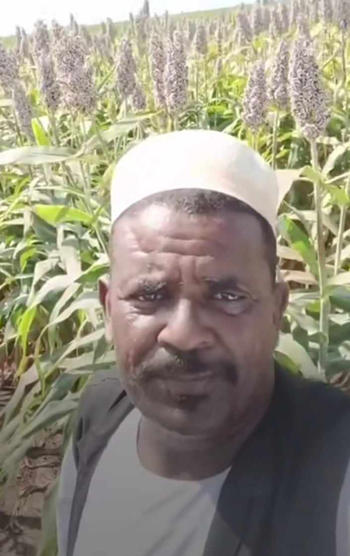 شاهد بالصورة والفيديو.. مزارع سوداني يفجر مفاجأة سارة: (هذا العام هو أفضل عام يمر علينا في الزراعة) 10 462647448 413158508507245 8048721091302351094 n 1