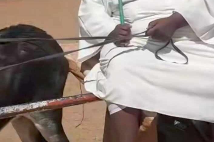 شاهد بالفيديو.. تاجر كرين بحري الشهير يتحول لتاجر "حمير" بعد أن فقد معرض سياراته ويؤكد: (سعر الحمار وصل إلى مليار ونصف) 1 462570580 1500201227362189 8535995704747215756 n