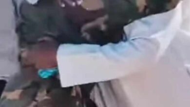 462641610 599799369232520 8328187669055482640 n