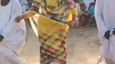 462641617 8761212174000195 4116648216478349064 n