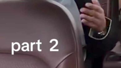 462650139 1124821099156485 4860087549310401912 n