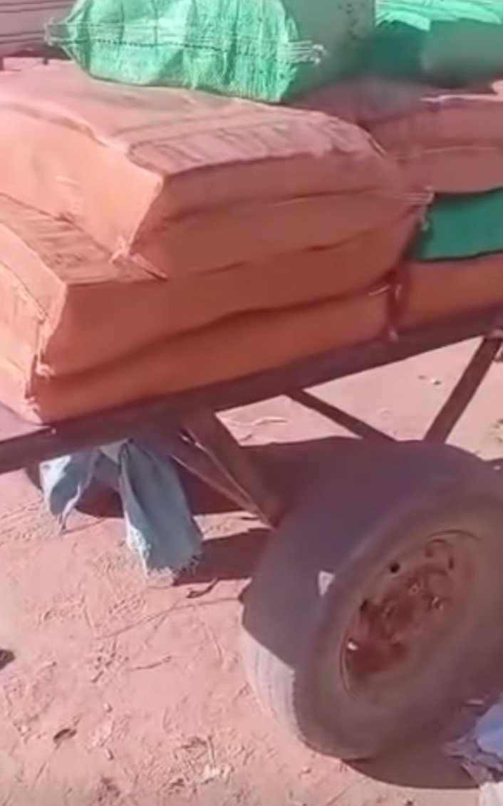 467471216 1647818369492334 292528165582349450 n