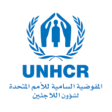 بعد تصديق الرئيس السيسي.. 8 حالات تُنهي لجوء الأجانب في مصر تعرف على التفاصيل كاملة 1 images 2