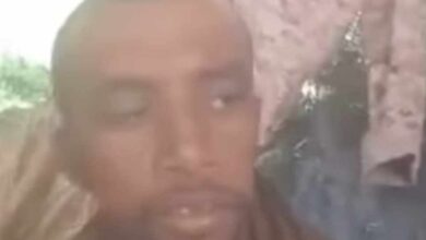 474082546 958423343095564 1577486512557657685 n