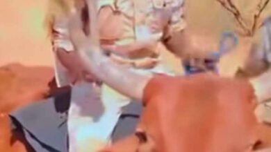 474723154 1157893479260337 3804218697569540204 n