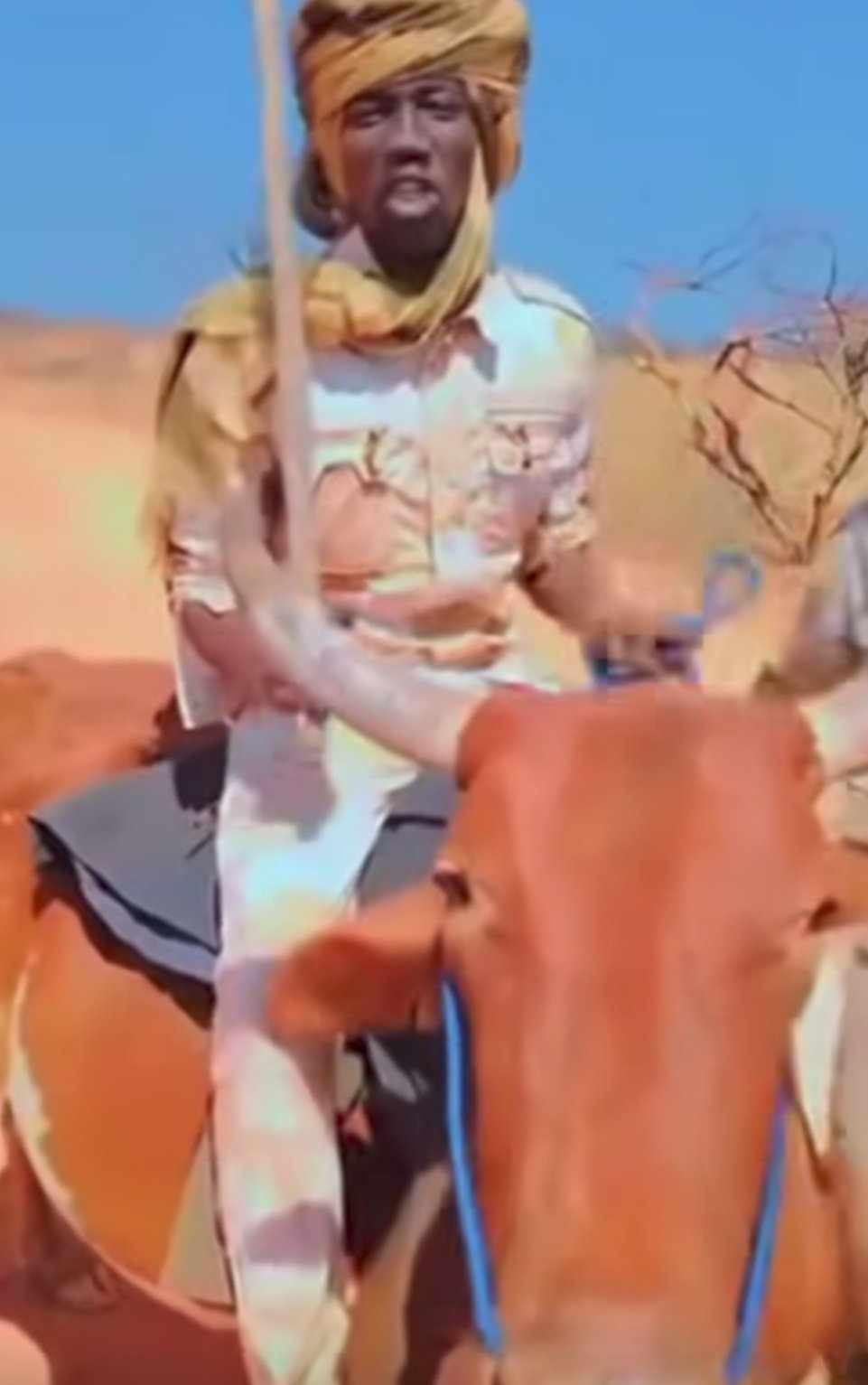 474723154 1157893479260337 3804218697569540204 n