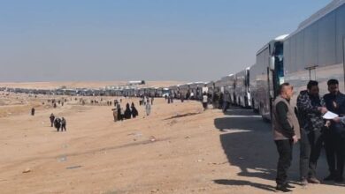 474774209 8922692367844131 3969883447342011806 n 1