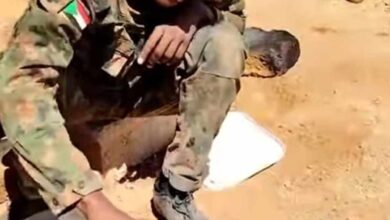 477229063 640525735100788 7432779052264353623 n