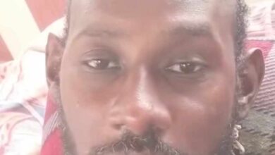 479721165 1952675565257200 8566410546551225545 n