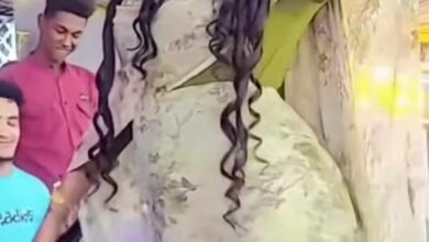 479977494 1371690510530983 7863789002942961630 n