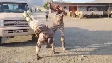 480959945 1402910421036496 7381984732478184245 n