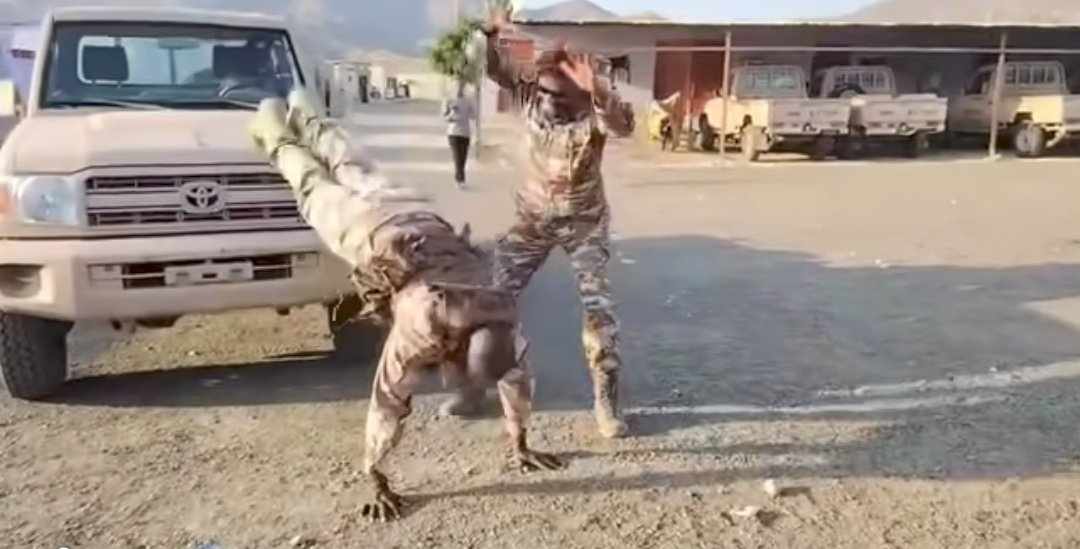 480959945 1402910421036496 7381984732478184245 n