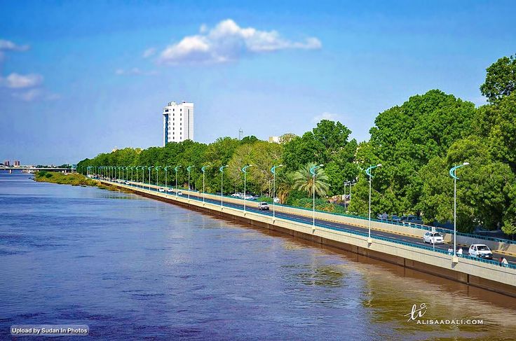 شاهد بالفيديو.. وسط أجواء وصفها شهود عيان بــ(الخرافية).. شارع النيل الخرطوم يتحول إلى غابة وأشجاره تنتج ثمار وفواكه طبيعية 10 30c7cd056627863291a4913b9e5cef40