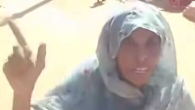 481896701 1058525689625555 1451073522098272006 n