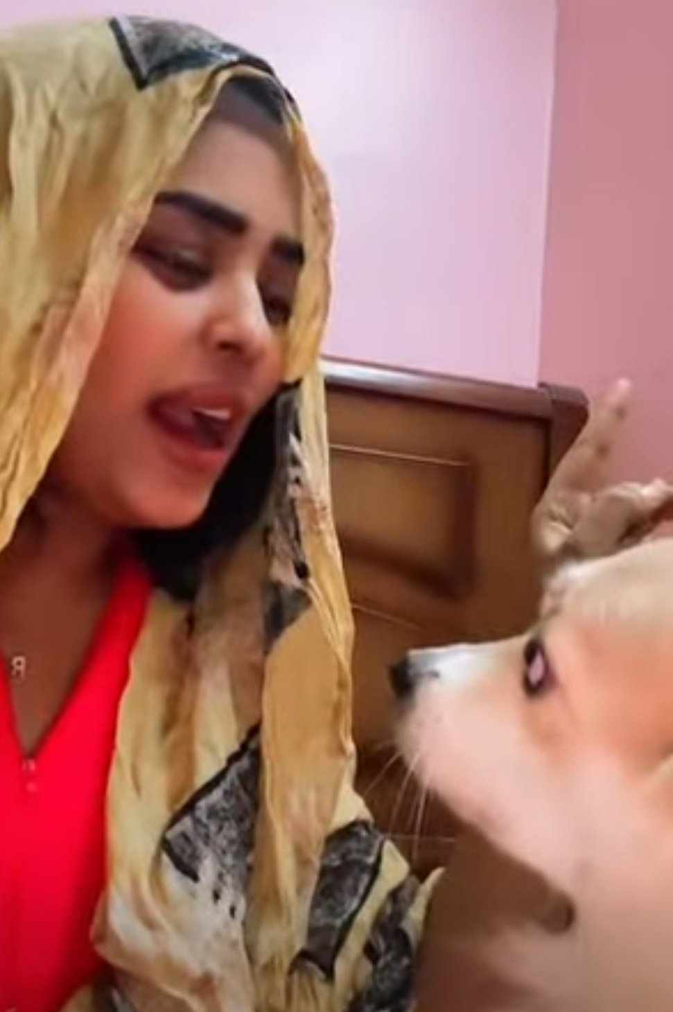 شاهد بالصورة والفيديو.. حسناء سودانية تعلم "كلبتها" طريقة النواح والبكاء وسط النساء لحظة العزاء وساخرون: (الحرب دي ما خلت زول نصيح) 10 485858943 517820674456768 8946949139142879522 n