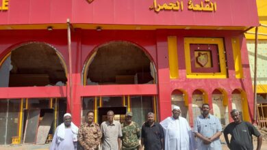 486082118 9843058552413147 1999146476372246061 n