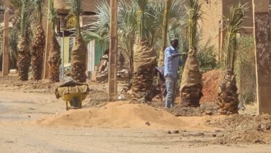 491219469 9362764910502206 5840766853503073125 n