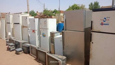 493018248 1002191508731239 2298546562810003665 n