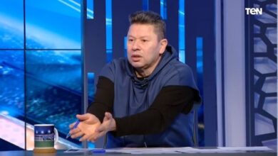 رضا عبد العال