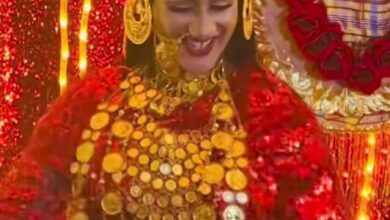 494828285 2775861499264166 1583144565569422838 n