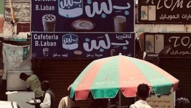 505942816 2405278829843653 1583828004784110399 n