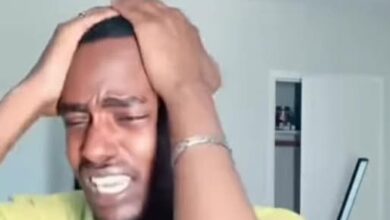 506235706 649666744764239 8234044426579657249 n