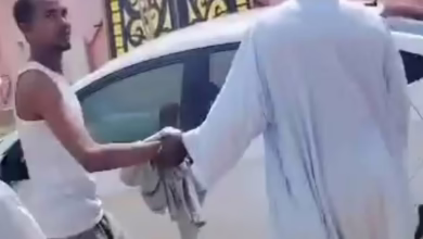 540743435 1202822858552467 5026755072539360762 n