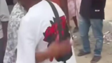 7bbe7bcf 52a0 4c00 a07b 8ed0f4d24c3c