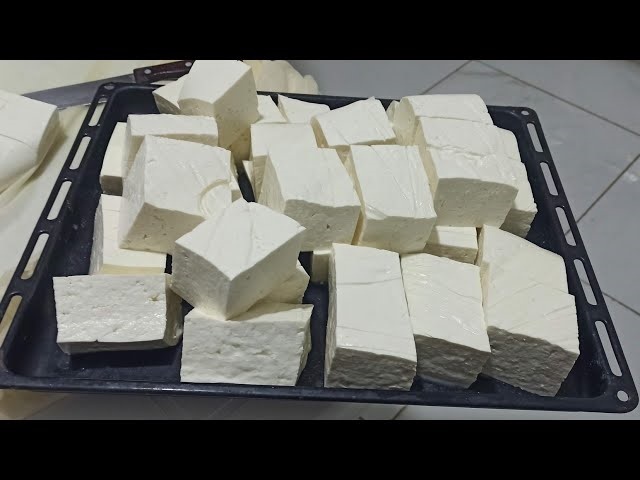 Image4 120258174620156454419